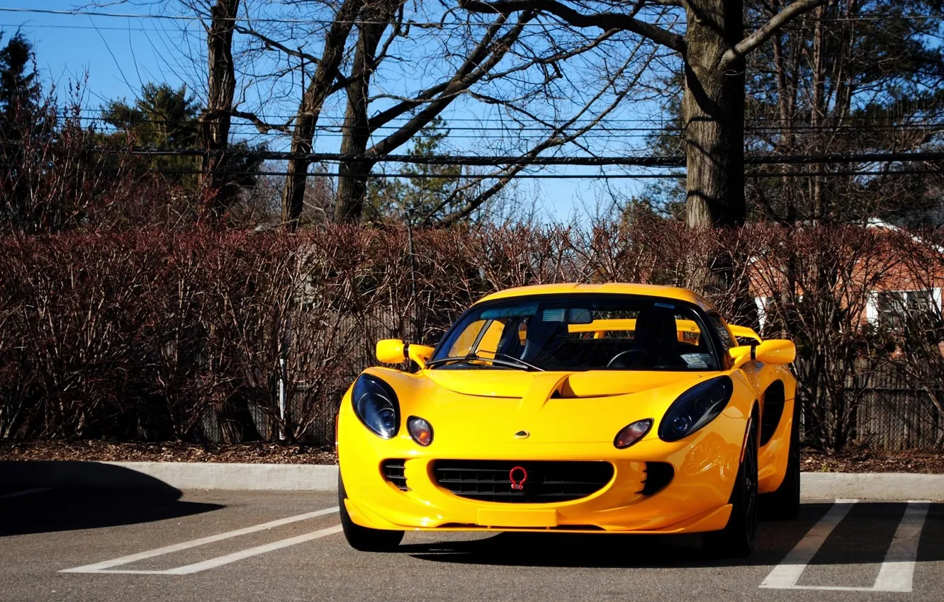 Photo wallpaper road, machine, leaves, trees, yellow, lights, Lotus, car