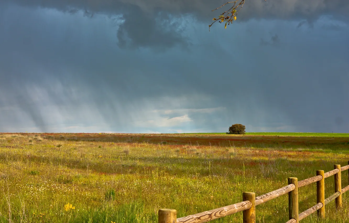 Photo wallpaper field, landscape, rain, the fence
