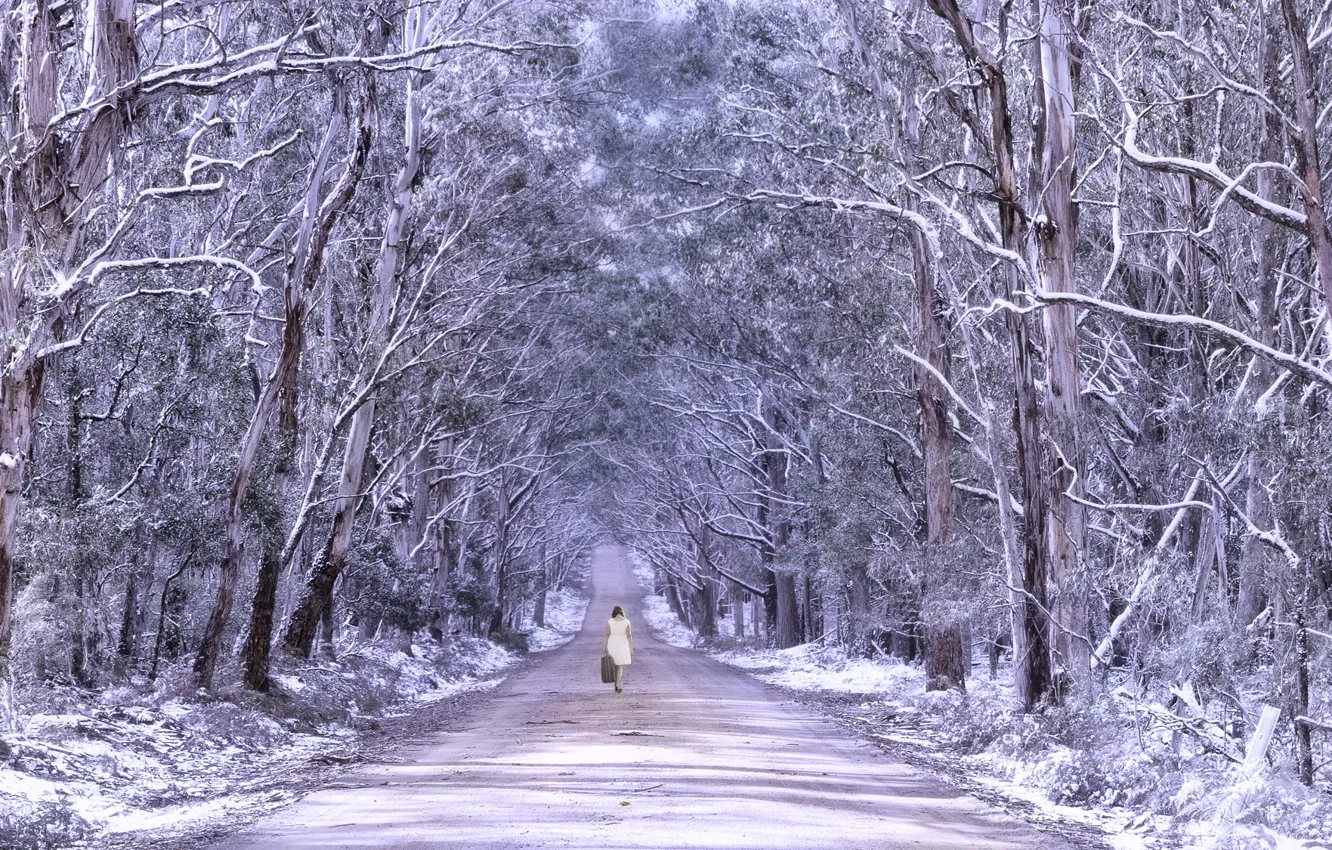 Photo wallpaper road, forest, girl