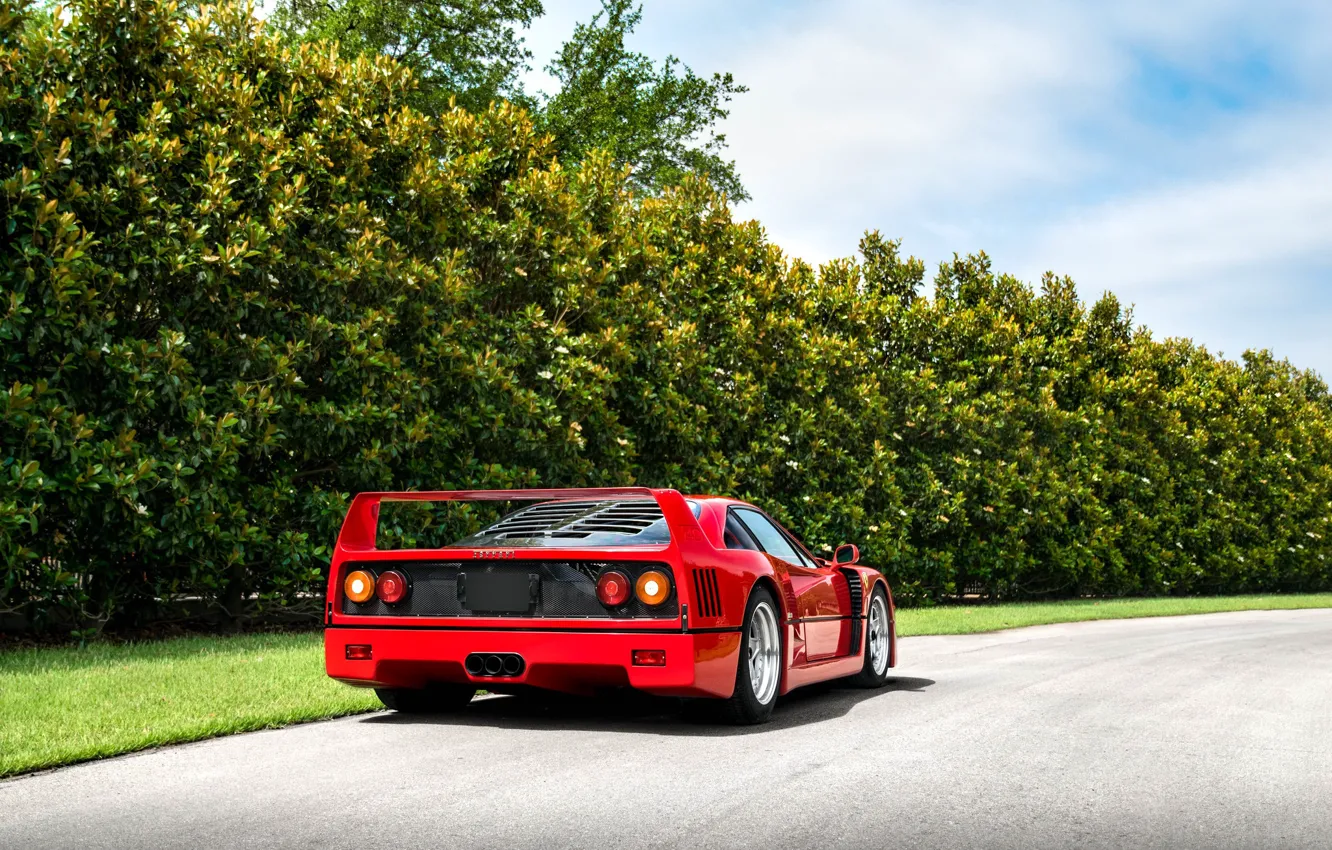 Photo wallpaper Red, F40, Rear view