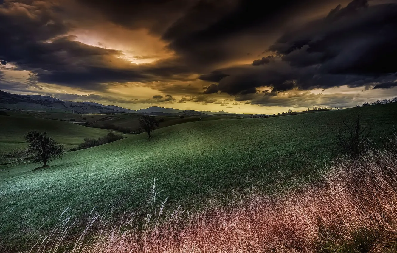 Photo wallpaper field, the sky, clouds, hills