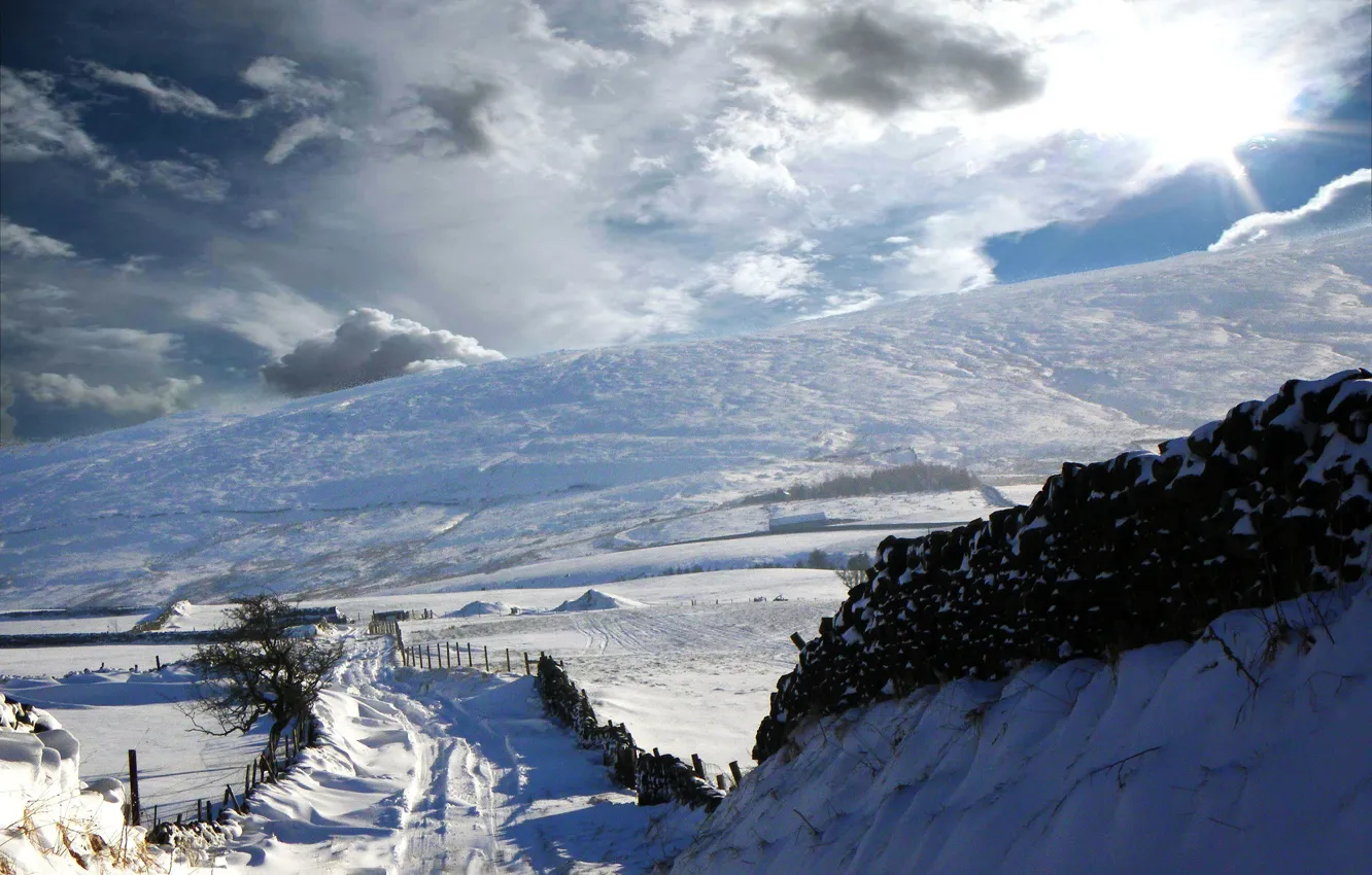 Photo wallpaper winter, snow, winter sun