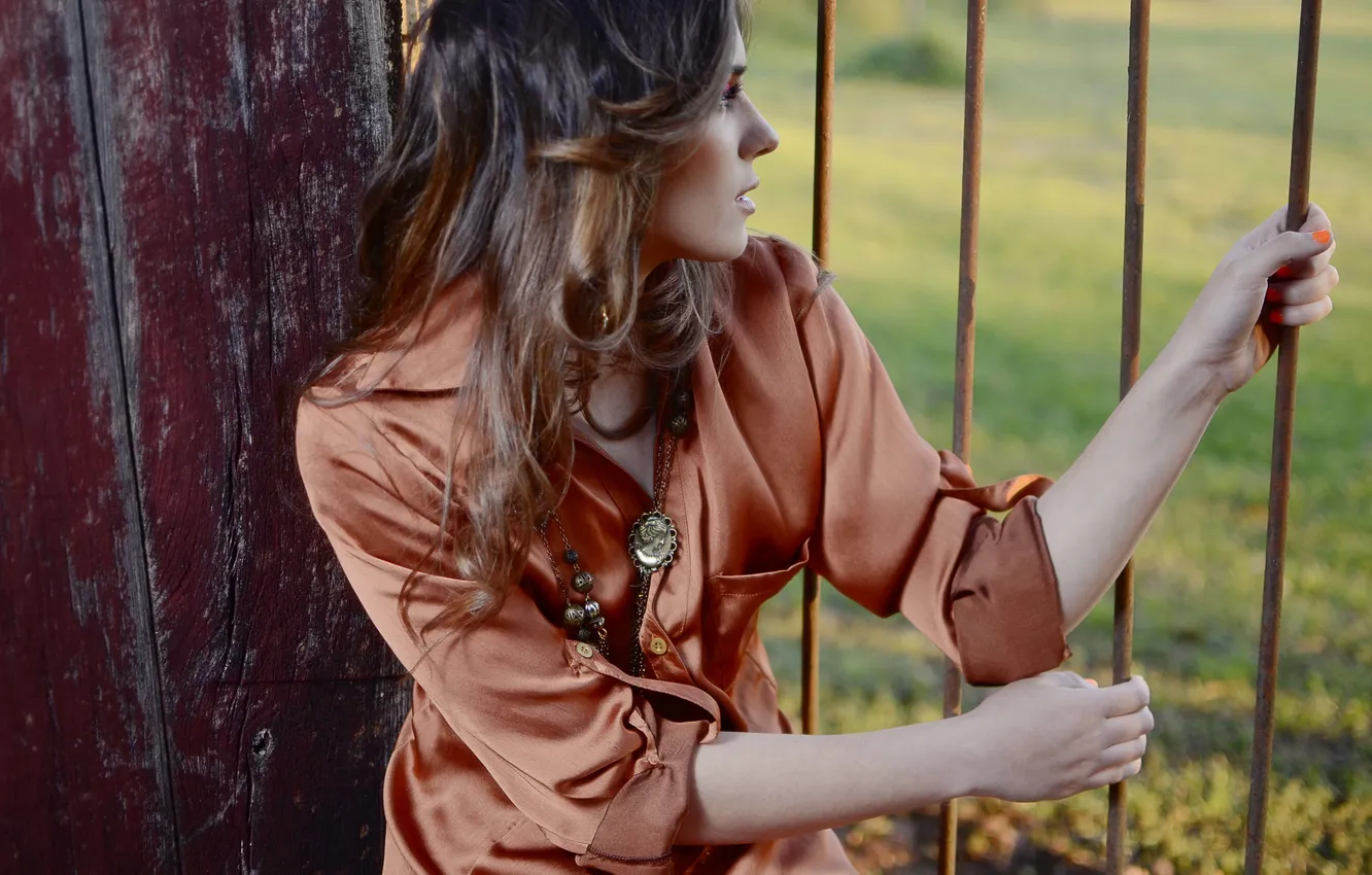 Photo wallpaper girl, decoration, the fence, fence, brunette