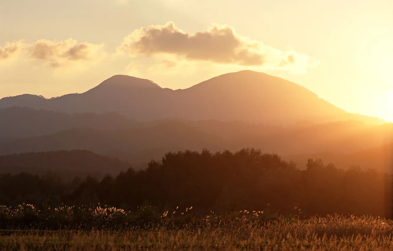Photo wallpaper summer, clouds, dawn, hills, Wallpaper, ears