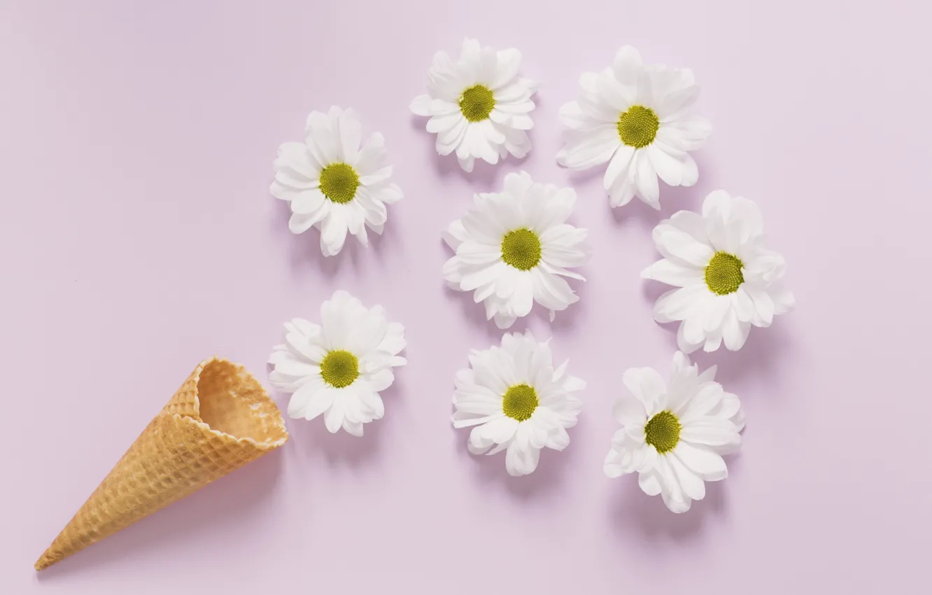 Photo wallpaper chamomile, horn, flowers, cute, camomile, tender, cone, waffle