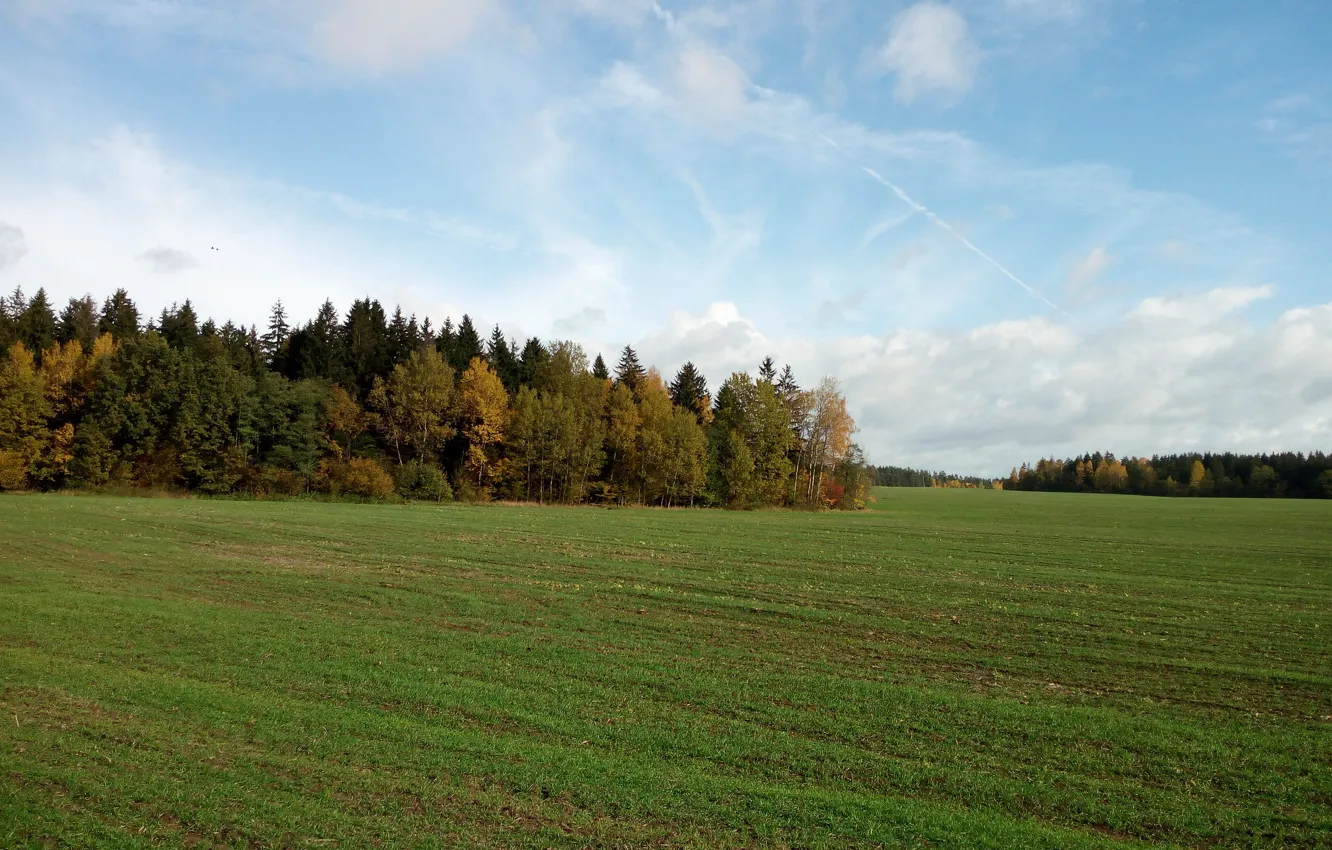 Photo wallpaper field, the sky, grass, trees