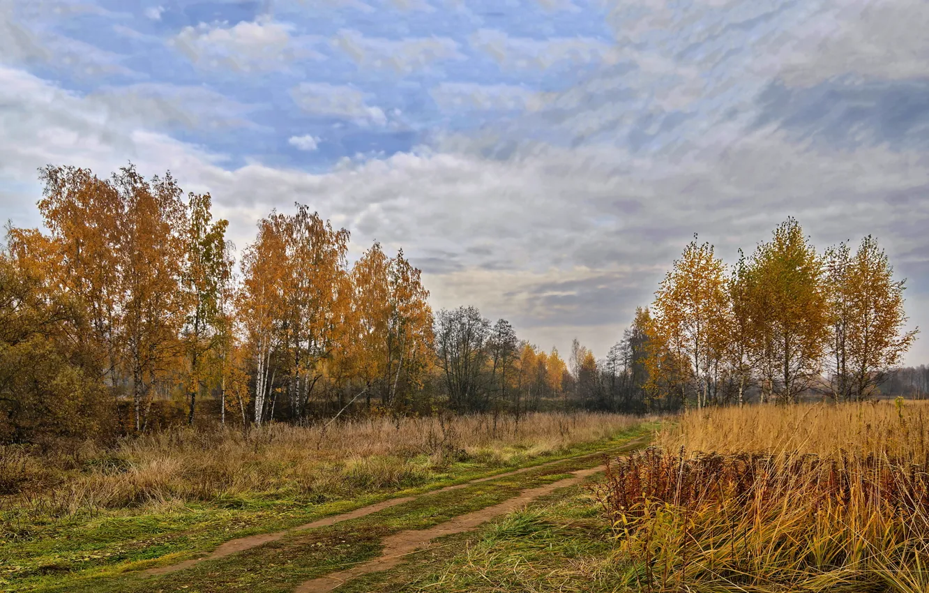 Photo wallpaper autumn, trees, landscape, the suburbs