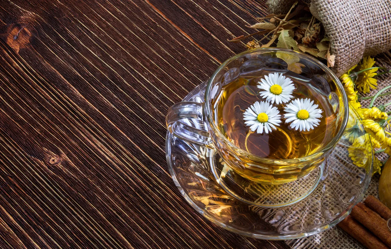Photo wallpaper grass, flowers, tea, chamomile, drink, cup, drinks, tea