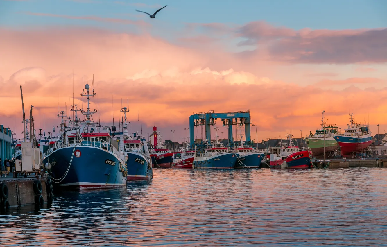Photo wallpaper sea, the sky, clouds, sunset, France, ship, seagulls, pier