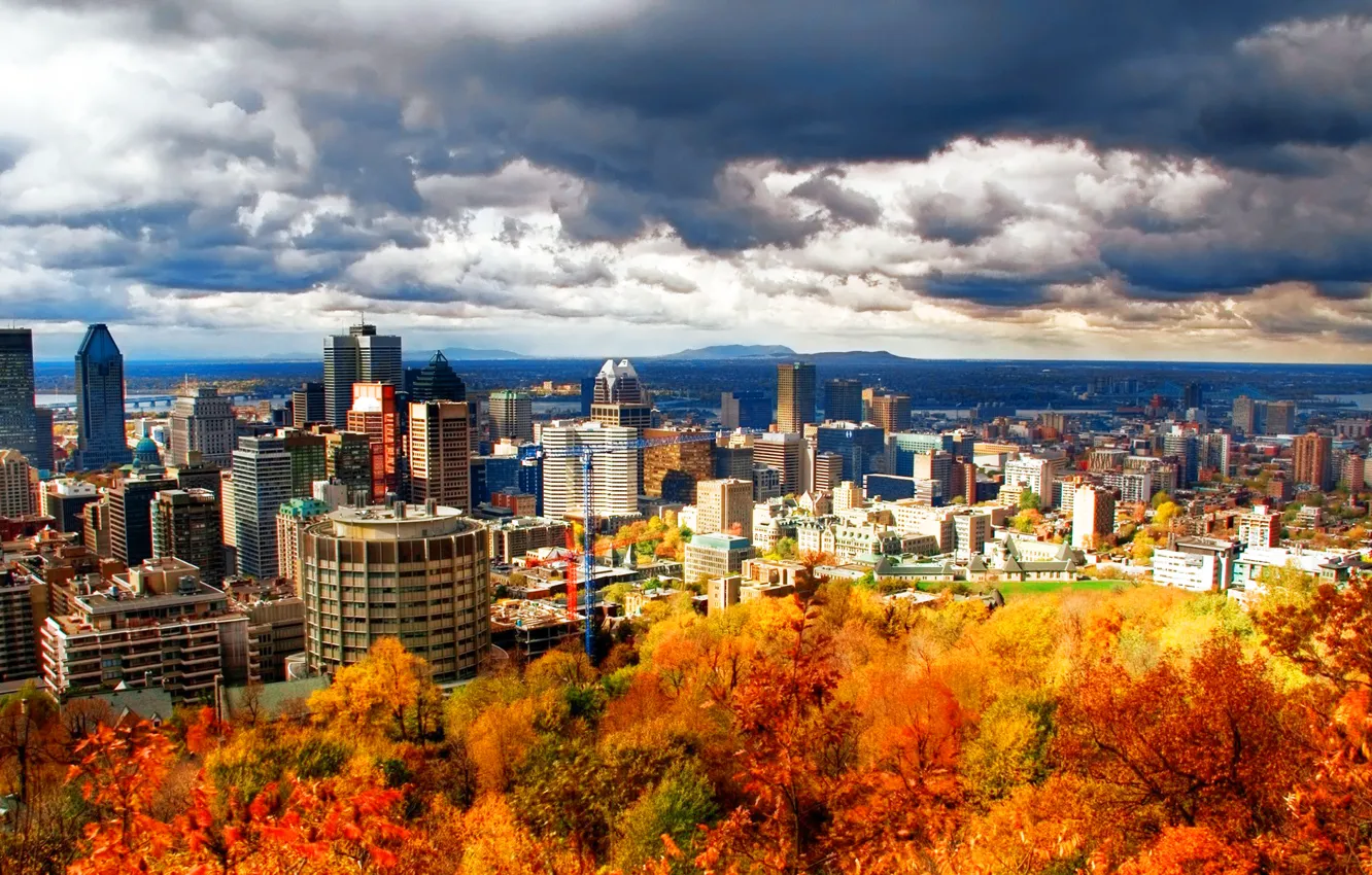 Photo wallpaper autumn, yellow, the city