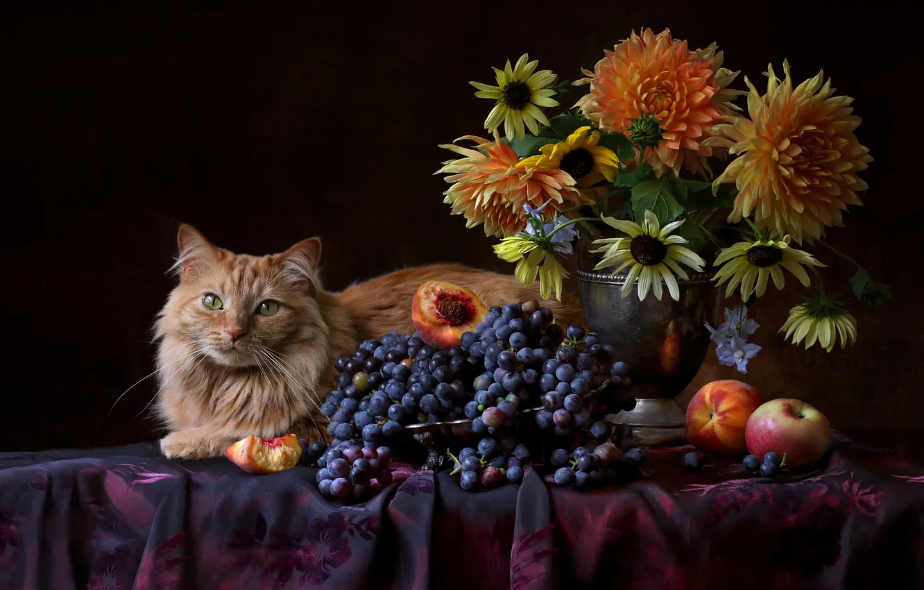 Photo wallpaper cat, cat, flowers, the dark background, table, apples, bouquet, yellow