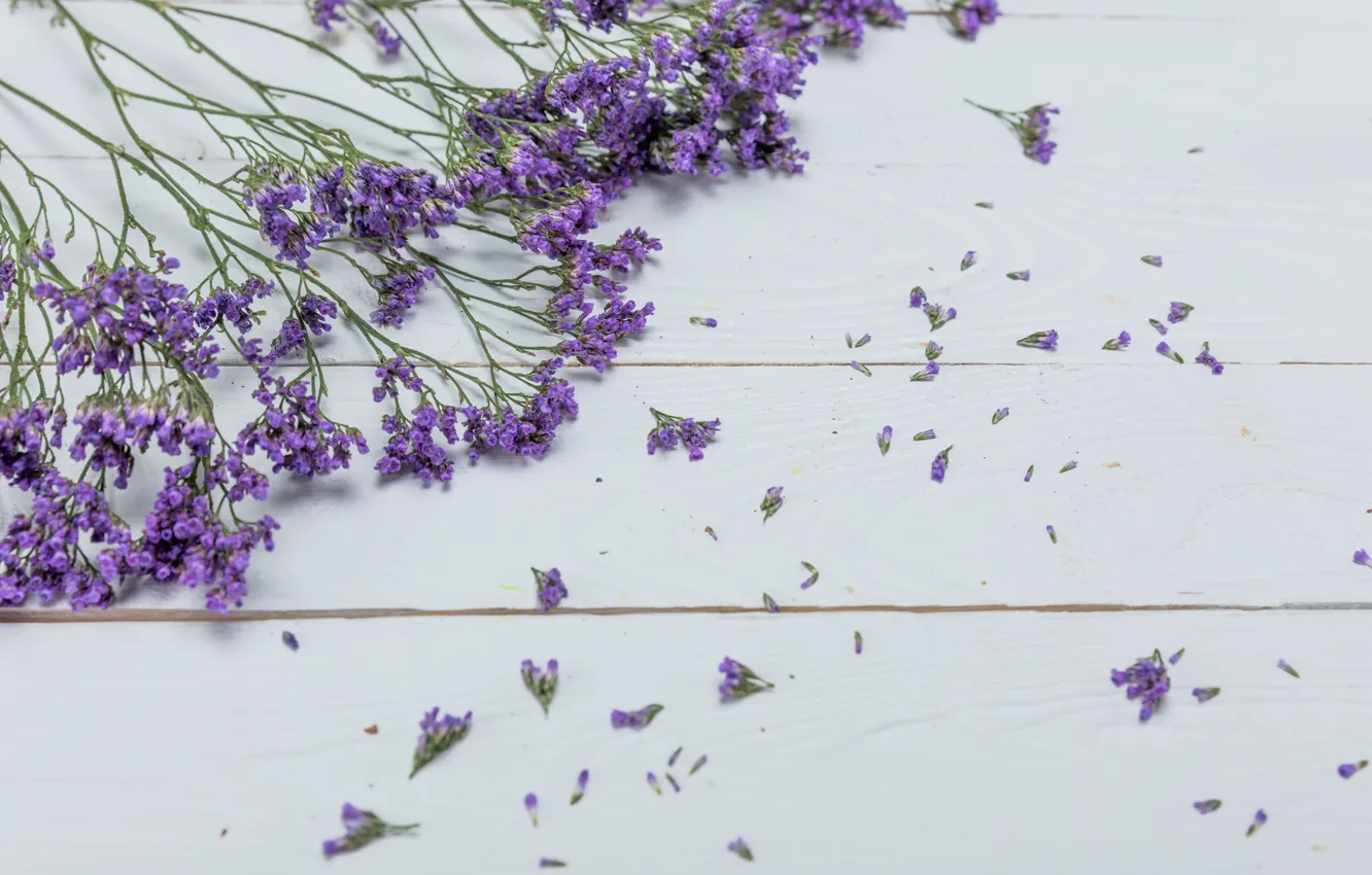 Photo wallpaper flowers, background, lavender