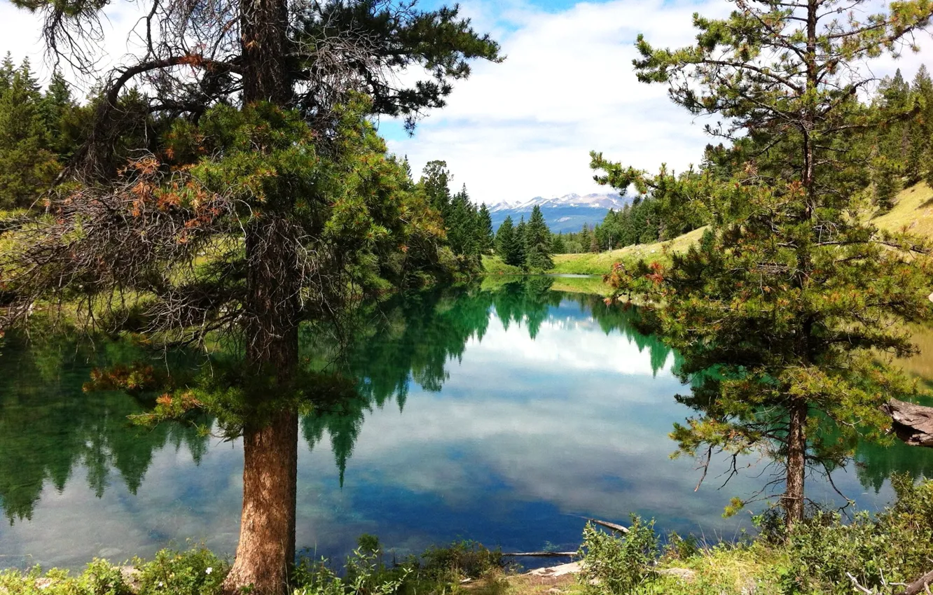 Photo wallpaper the sky, trees, mountains, river