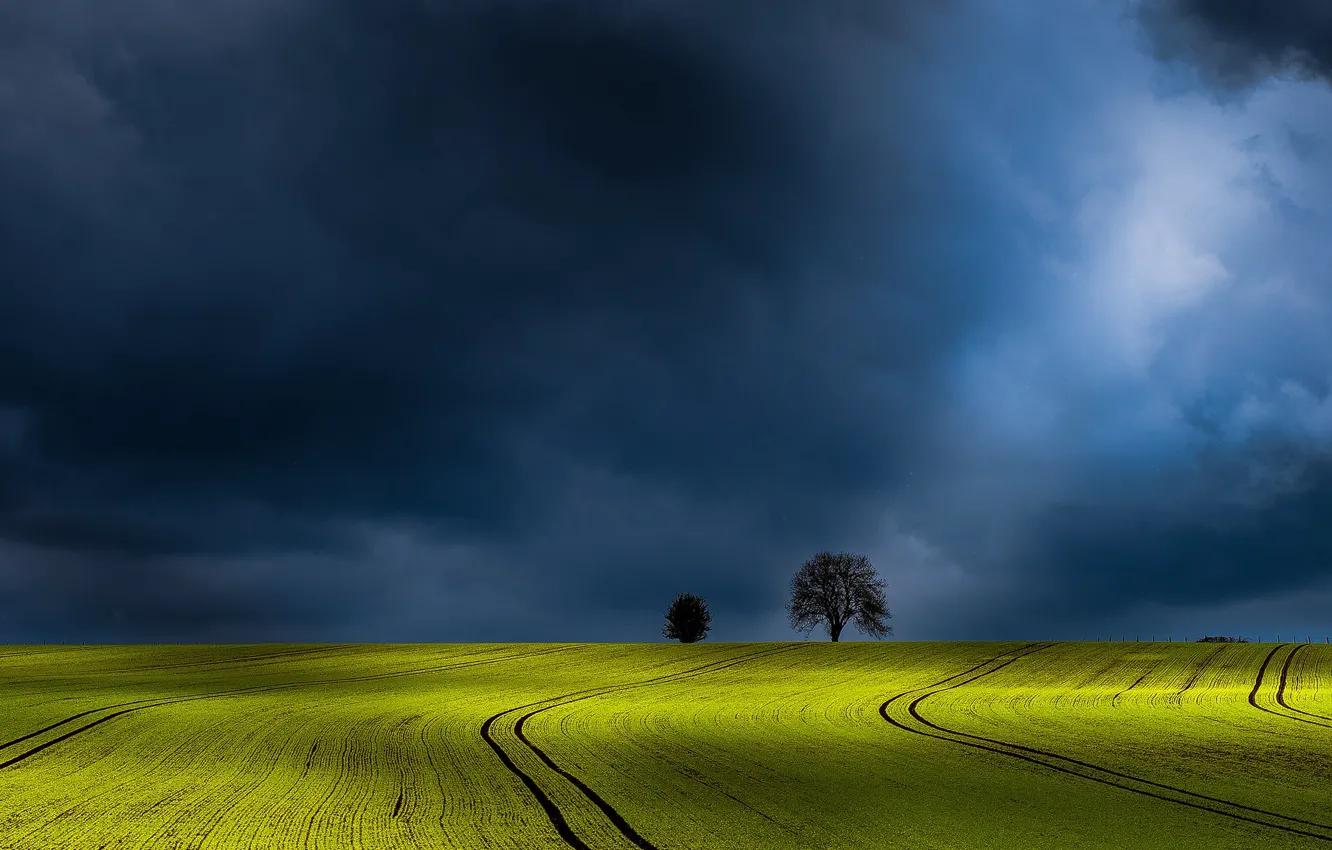 Photo wallpaper field, the sky, trees, clouds, photo