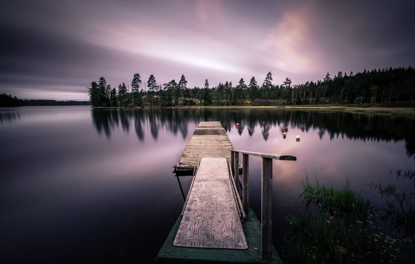 Photo wallpaper forest, pierce, the bridge, pond
