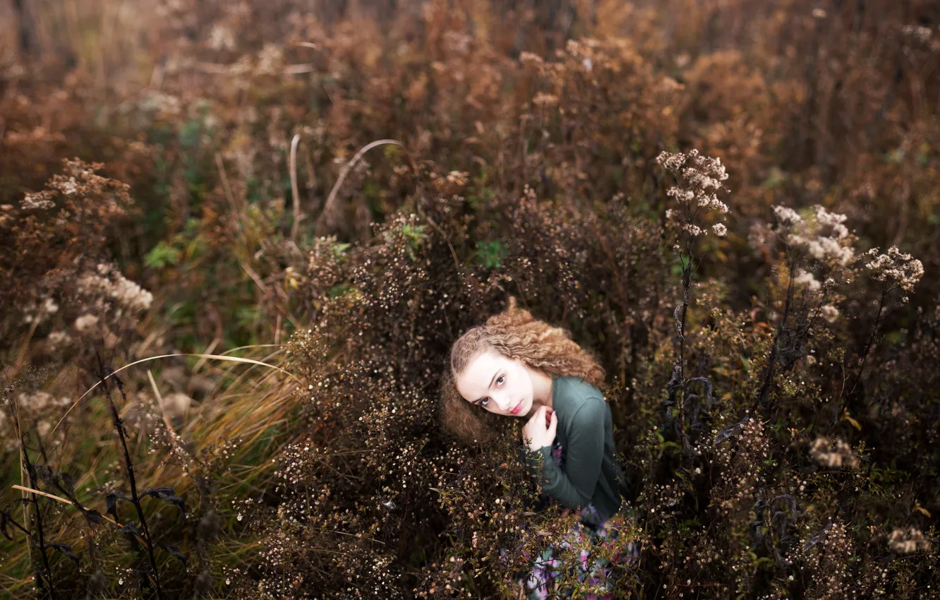 Photo wallpaper field, look, mood, girl