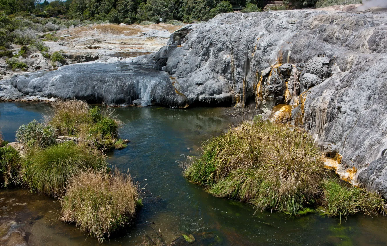 Photo wallpaper forest, landscape, nature, stones, New Zealand, source, geyser, Valley of Geysers