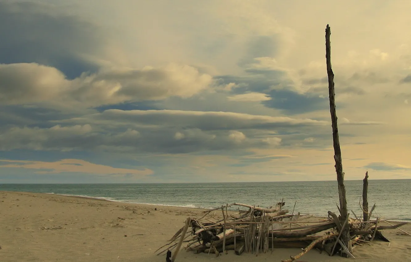 Photo wallpaper sea, branches, shore