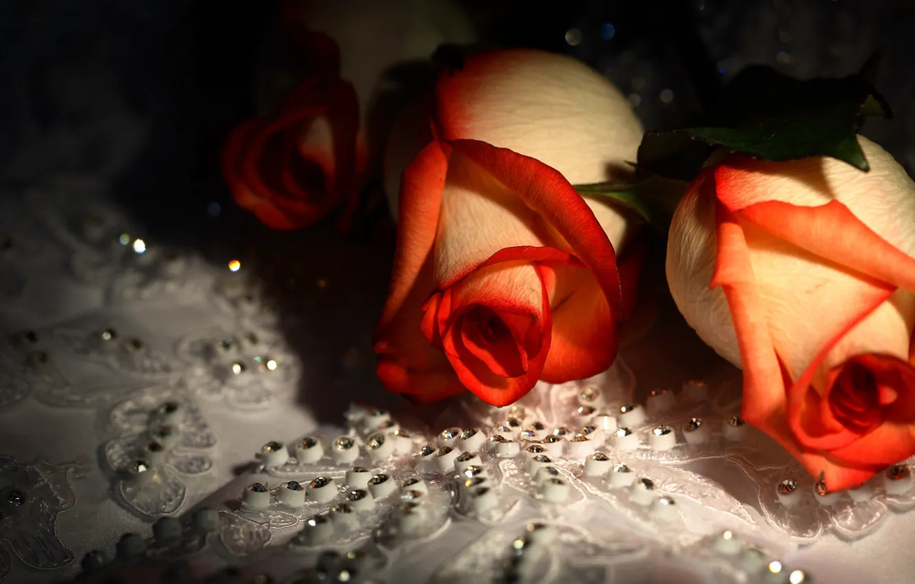 Photo wallpaper flowers, roses, rhinestones, beautiful
