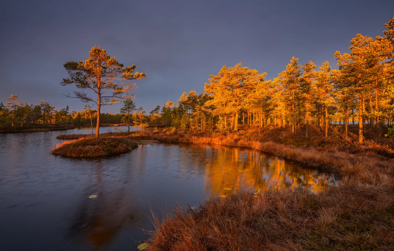 Photo wallpaper autumn, pond, autumn day, Evdokimov Maxim, The morning before the storm, villages