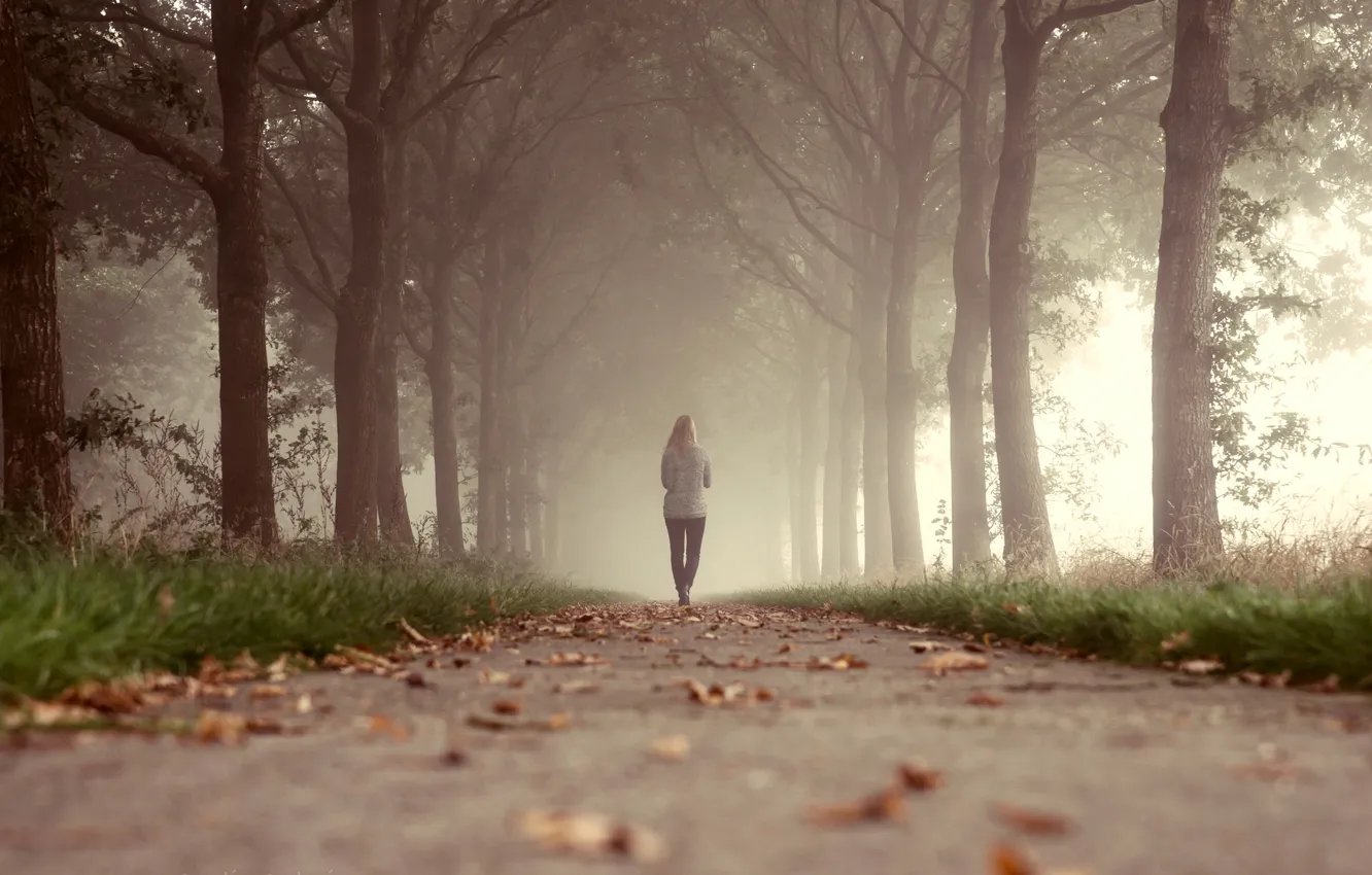 Photo wallpaper grass, leaves, girl, trees, fog, Park, the way, walking