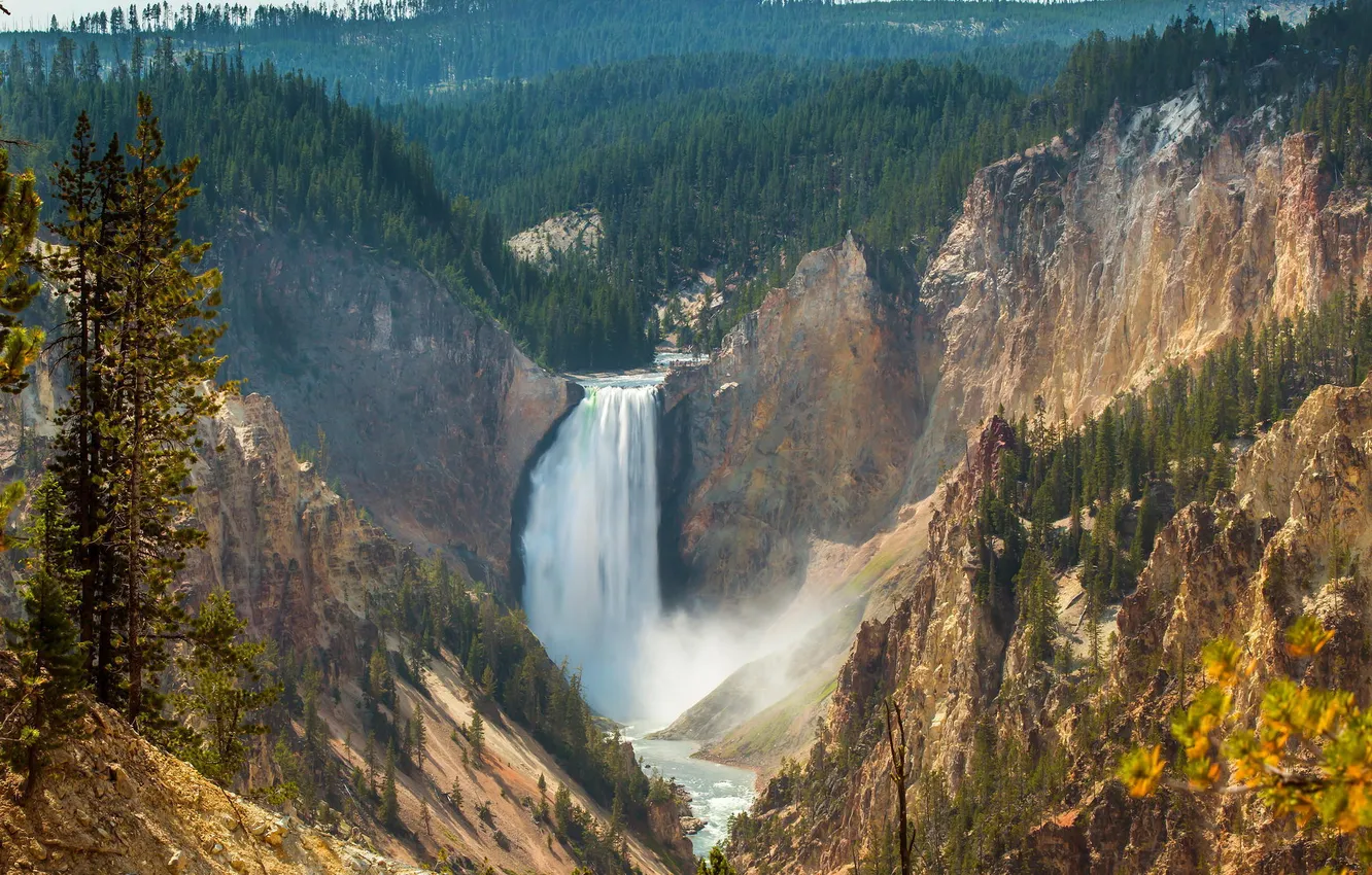 Photo wallpaper forest, rock, waterfall, Wyoming, Lower Falls, USА, Canyon Junction, yellowstone national park