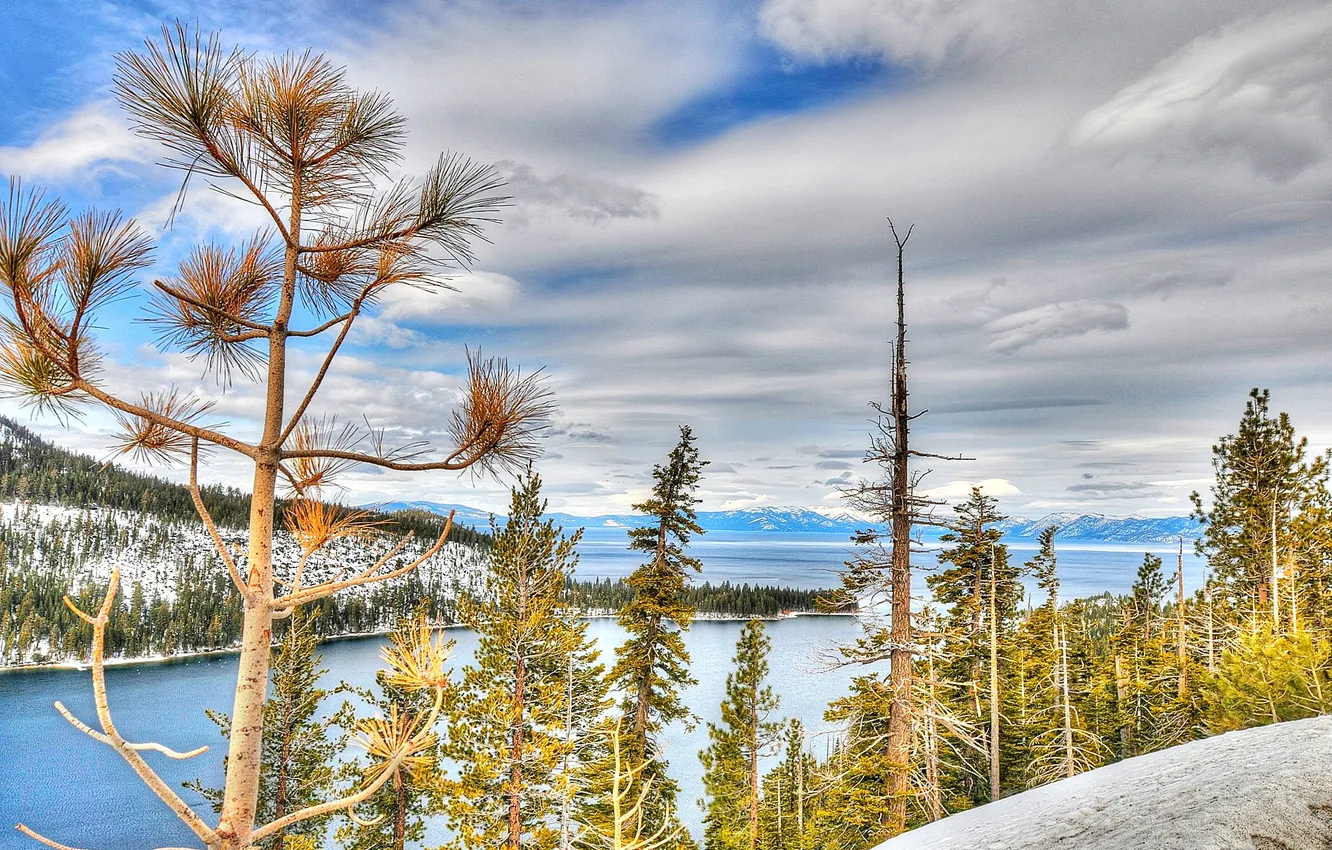 Photo wallpaper forest, snow, trees, mountains, lake, CA, USA, Tahoe