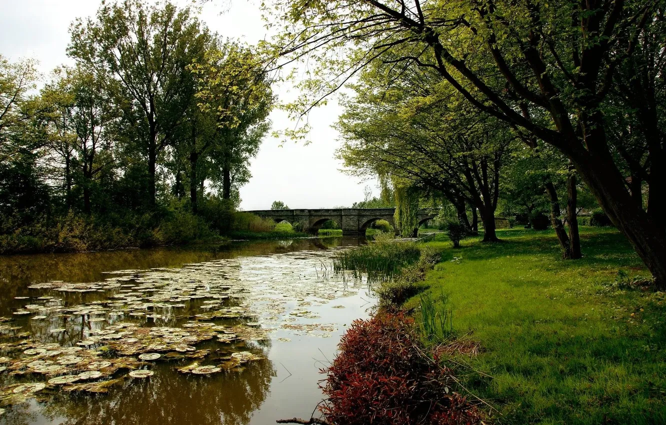 Photo wallpaper grass, trees, bridge, nature, pond