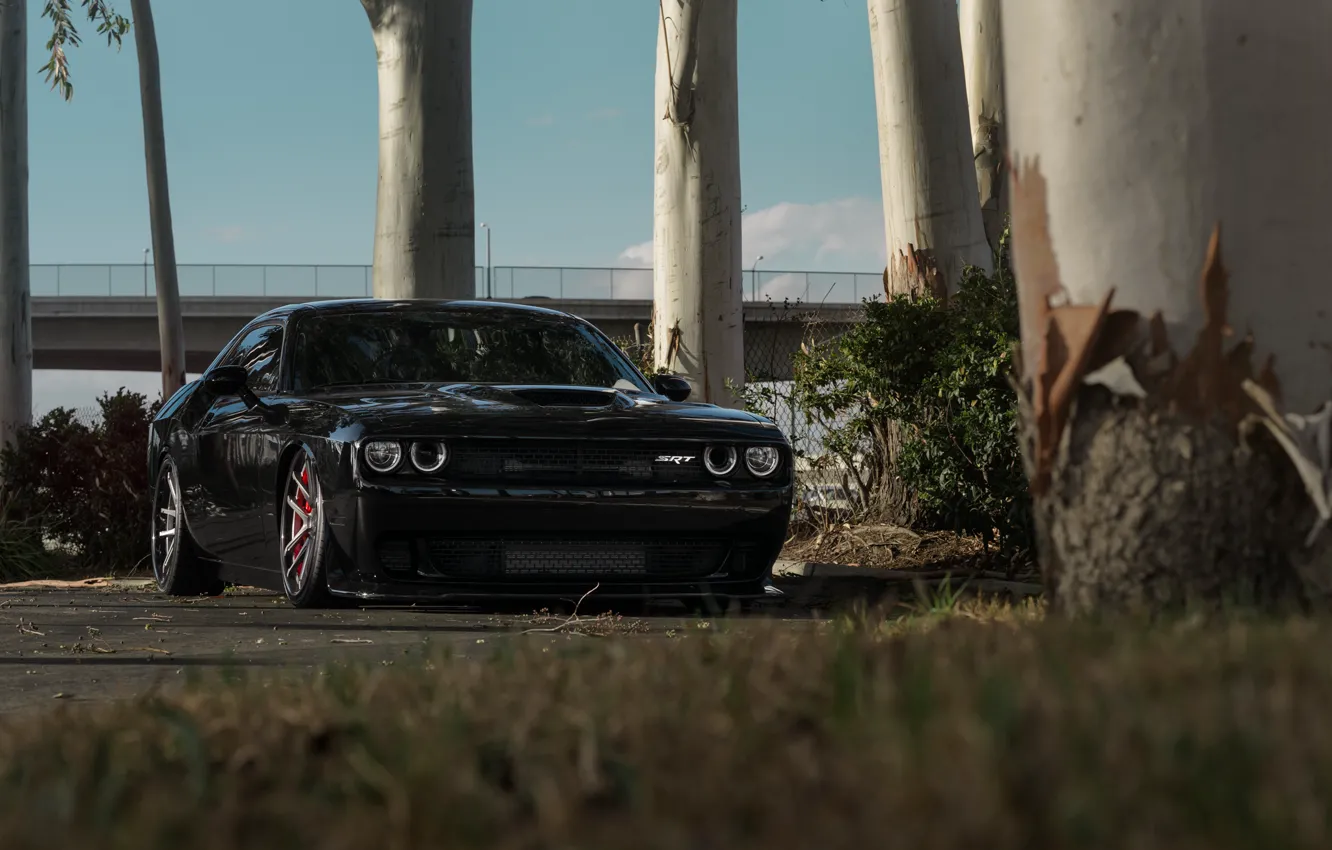 Photo wallpaper Dodge, Challenger, Hellcat, SRT, Build