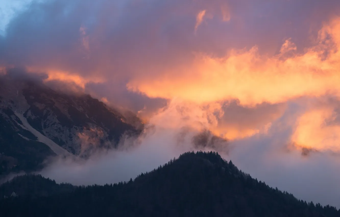 Photo wallpaper forest, the sky, clouds, trees, landscape, sunset, mountains, nature