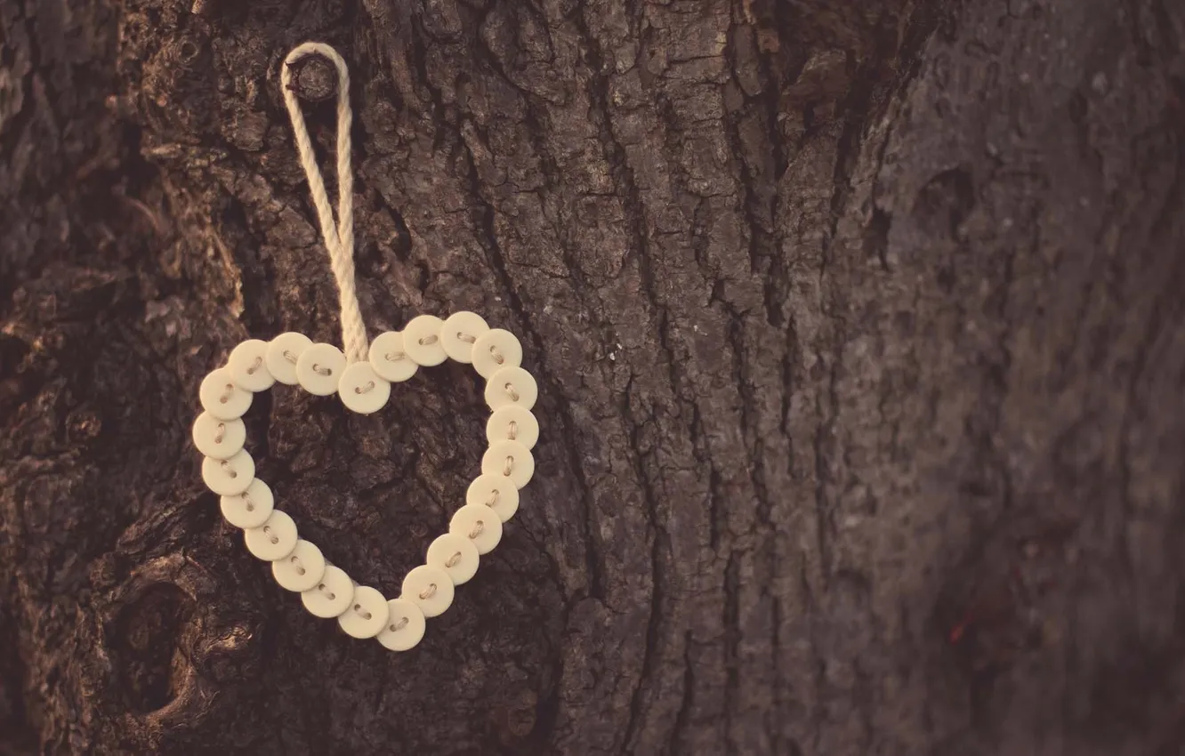 Photo wallpaper nature, background, tree, mood, heart, buttons, full screen, HD wallpapers