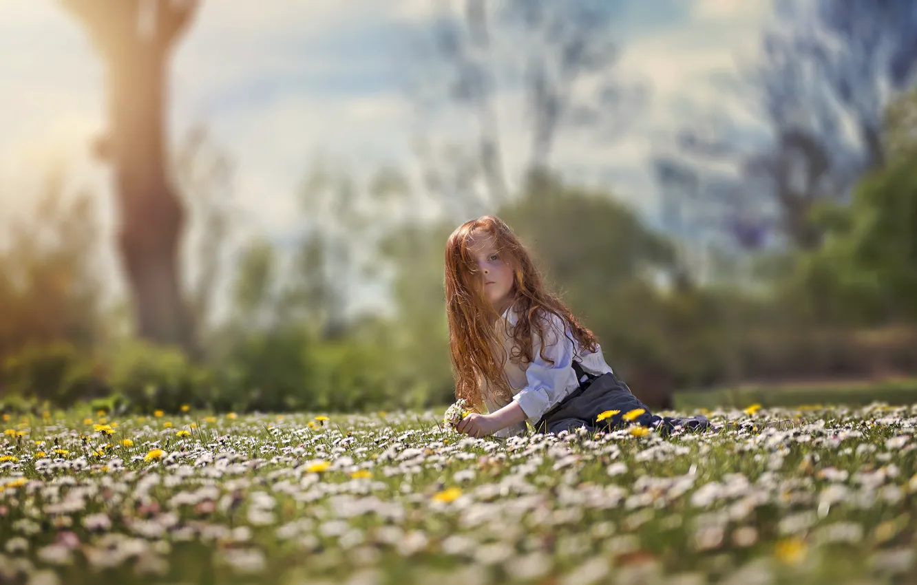 Photo wallpaper look, flowers, mood, hair, meadow, girl, red, redhead