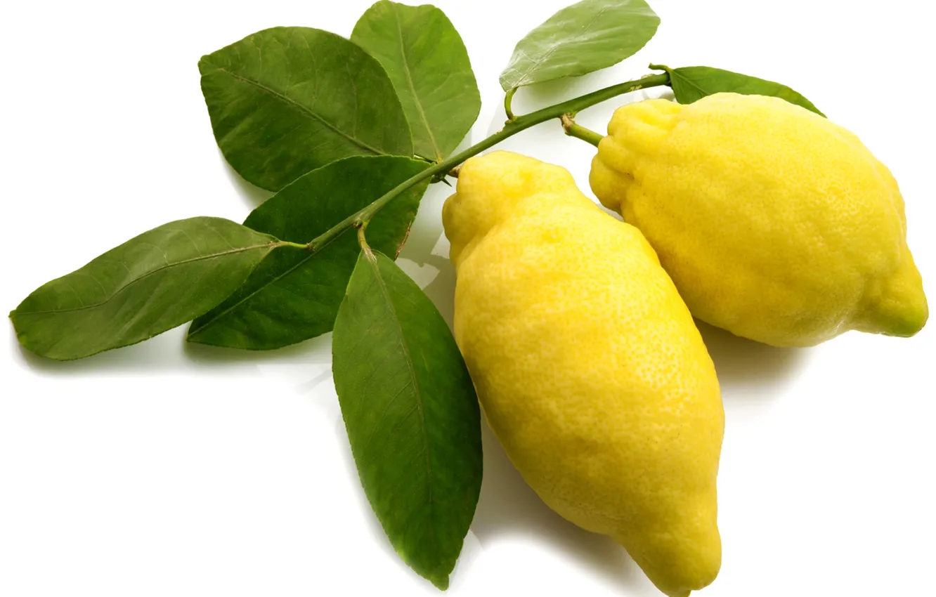 Photo wallpaper yellow, fruit, citrus, lemons
