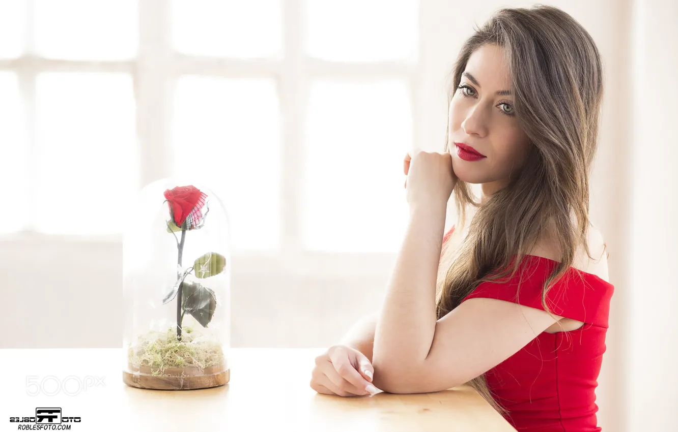 Photo wallpaper girl, rose, flower, photo, photographer, blue eyes, model, brunette