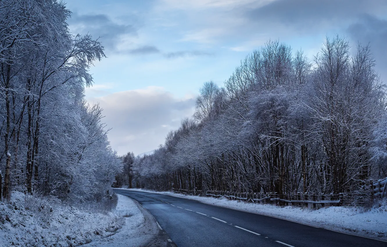 Photo wallpaper winter, frost, road, forest, the sky, clouds, trees, branches
