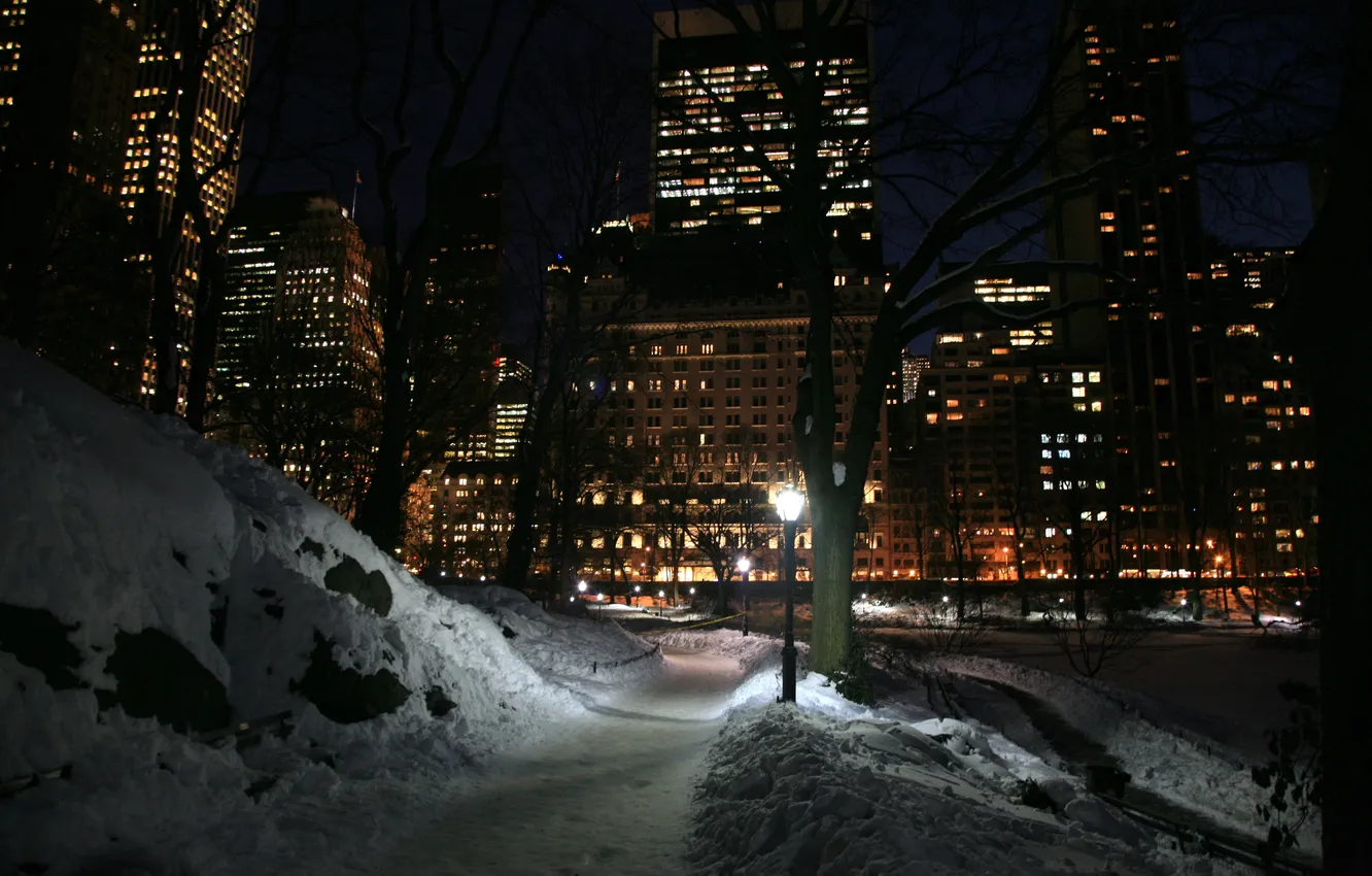 Photo wallpaper winter, the sky, snow, trees, night, city, the city, lights
