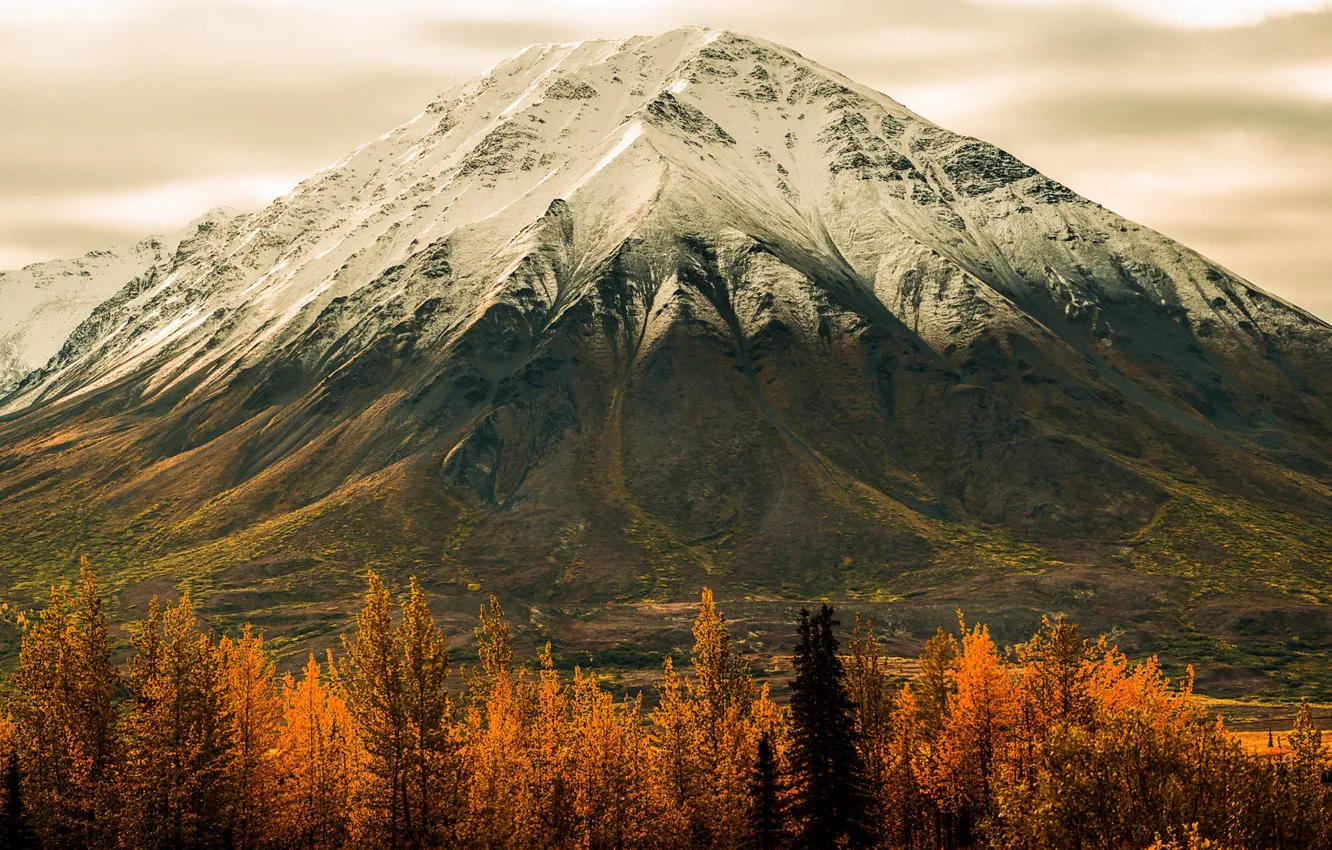Photo wallpaper autumn, forest, trees, mountains, Alaska