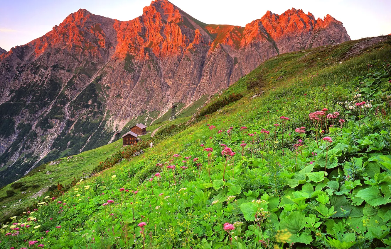 Photo wallpaper the sky, clouds, sunset, flowers, mountains, Austria, house, The brandnertal