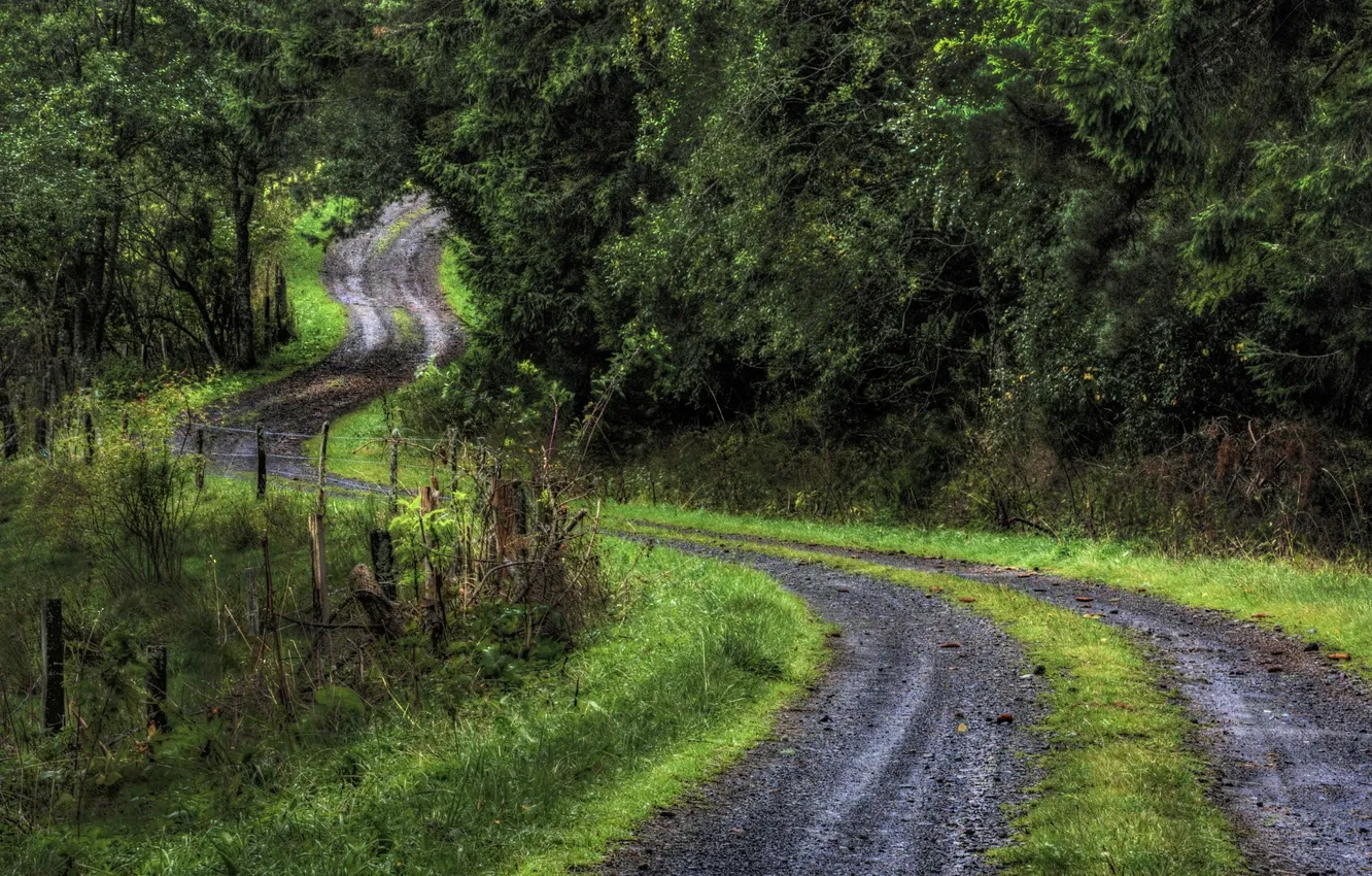 Photo wallpaper road, nature, the fence