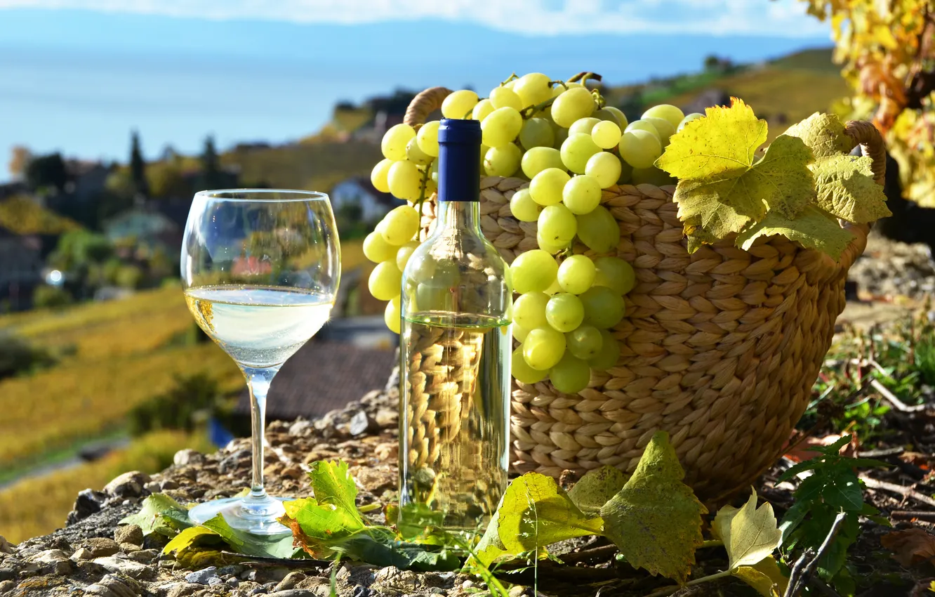 Photo wallpaper wine, white, basket, glass, bottle, grapes