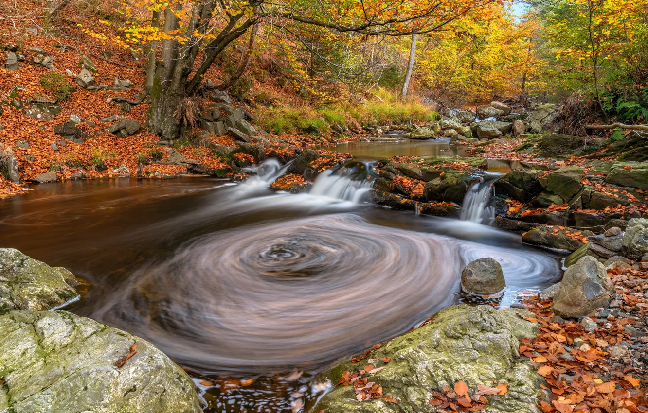 Photo wallpaper autumn, leaves, nature, river, stones, whirlpool, Belgium, Wallonia