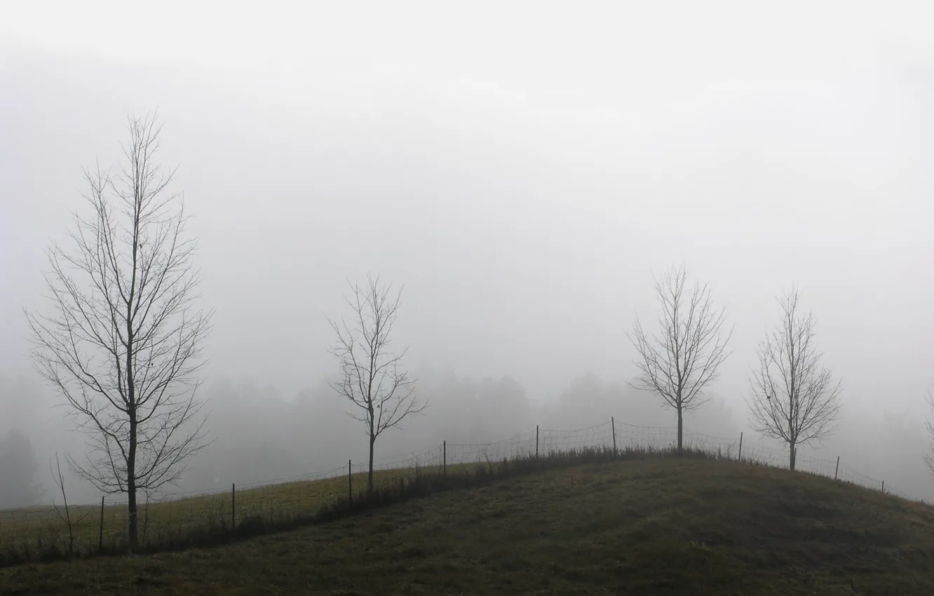 Photo wallpaper fog, the fence, Trees, hill