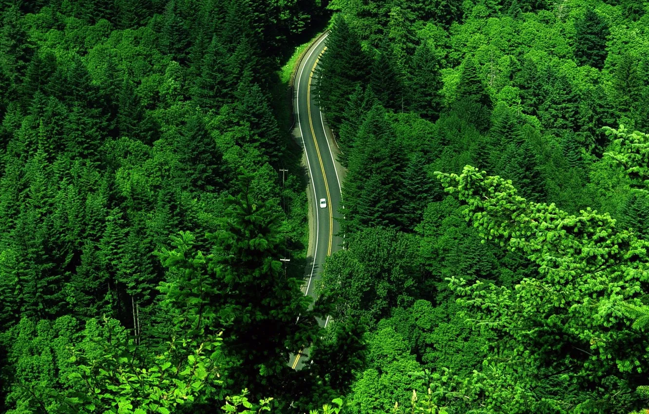 Photo wallpaper road, greens, machine