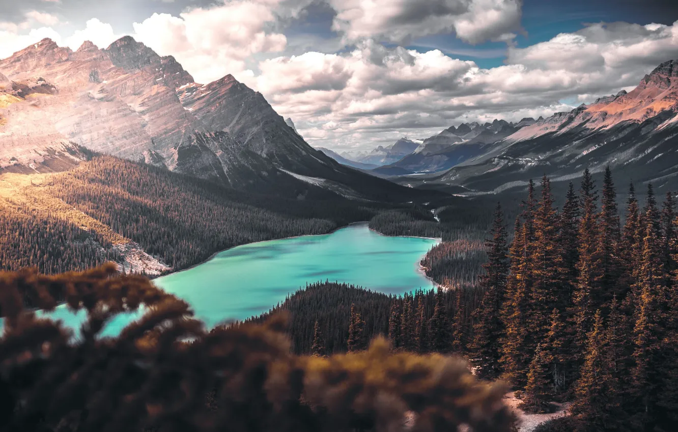Photo wallpaper forest, clouds, mountains, lake, the slopes, height, ate