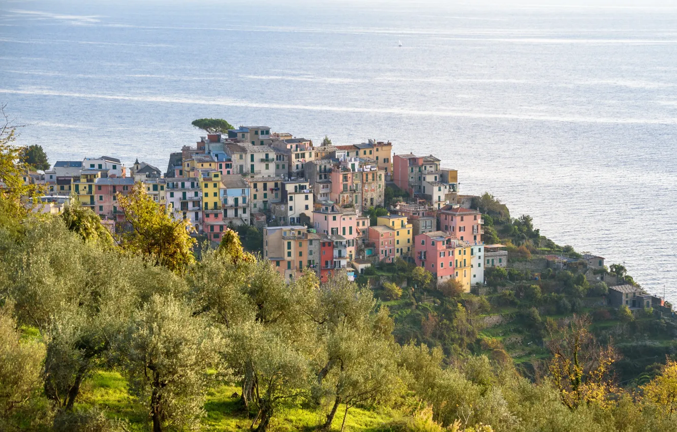 Photo wallpaper home, Italy, Liguria, Cornilla