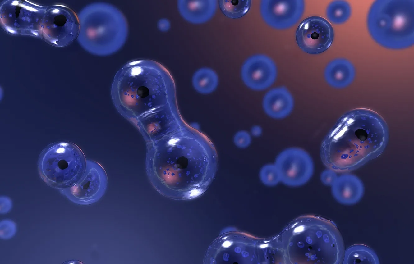 Photo wallpaper macro, rendering, division, cell, molecule