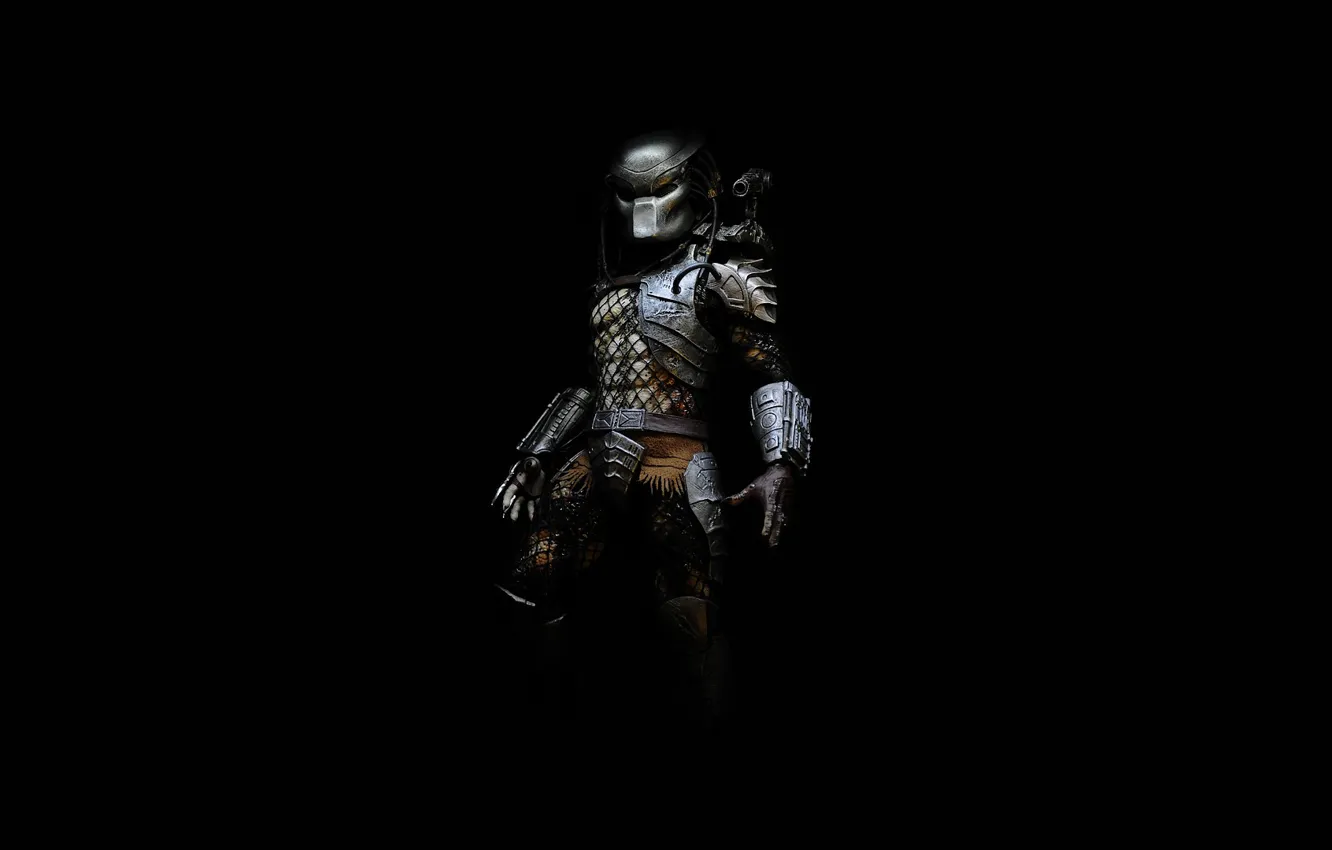 Photo wallpaper predator, being, Predator, thing