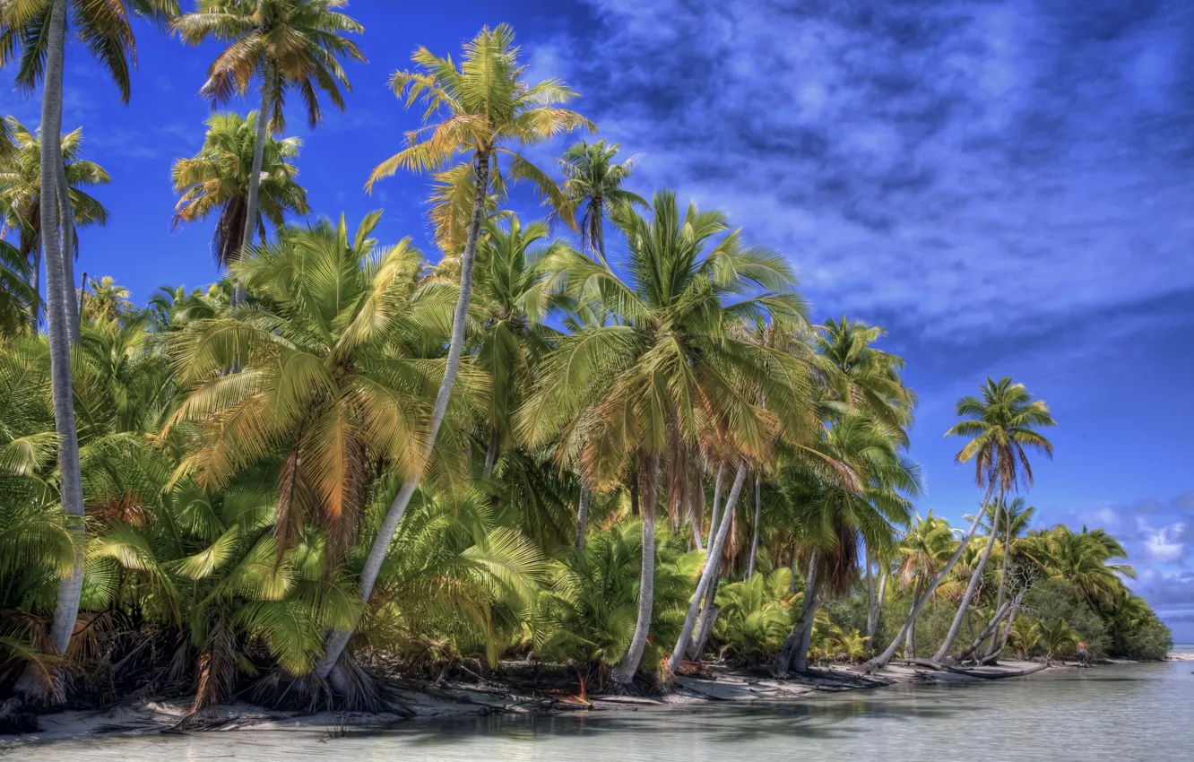 Photo wallpaper sea, clouds, palm trees, the coast