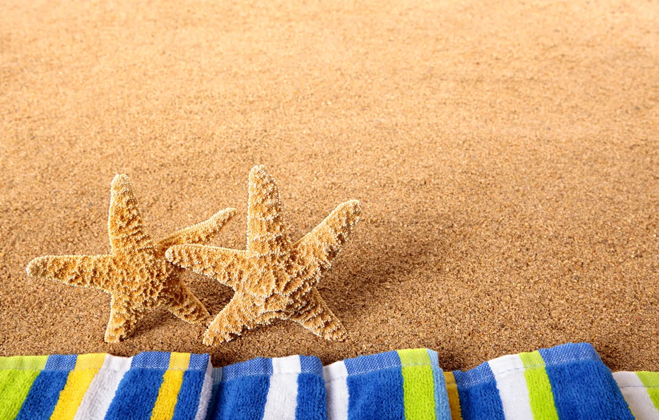Photo wallpaper sea, beach, nature, starfish
