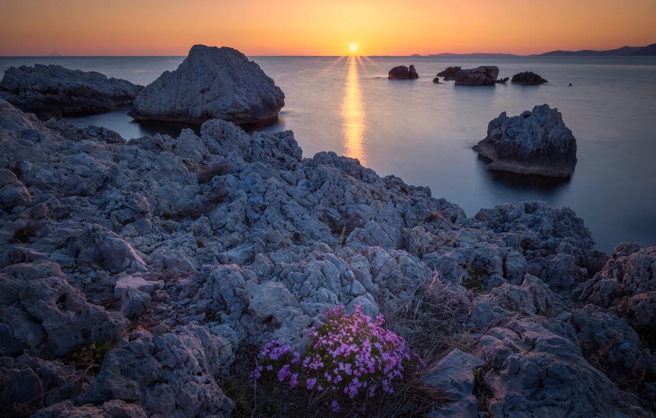 Photo wallpaper sea, the sky, the sun, sunset, flowers, stones, rocks, shore